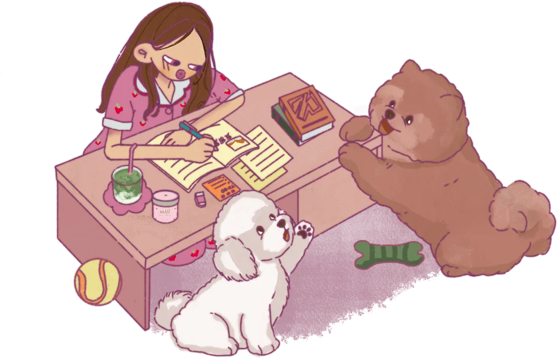 Illustration: a girl studying at a low table with a matcha drink and a Mifi Matcha tin, two fluffy dogs beside her
